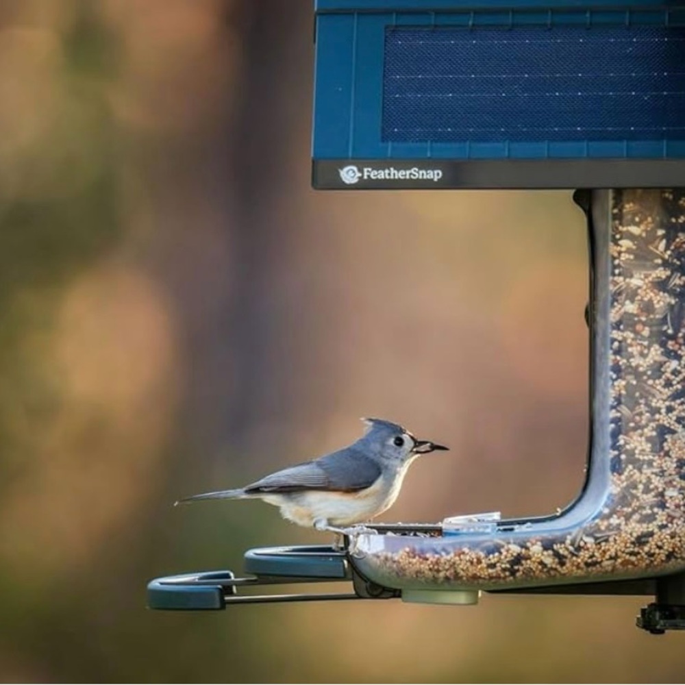 Feathersnap Solar Wi-Fi Birdfeeder